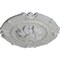 Ekena Millwork Southampton Ceiling Medallion, Hand-Painted Frost, 16 1/2"OD x 2 3/8"P CM16SOFRF - alternate 3